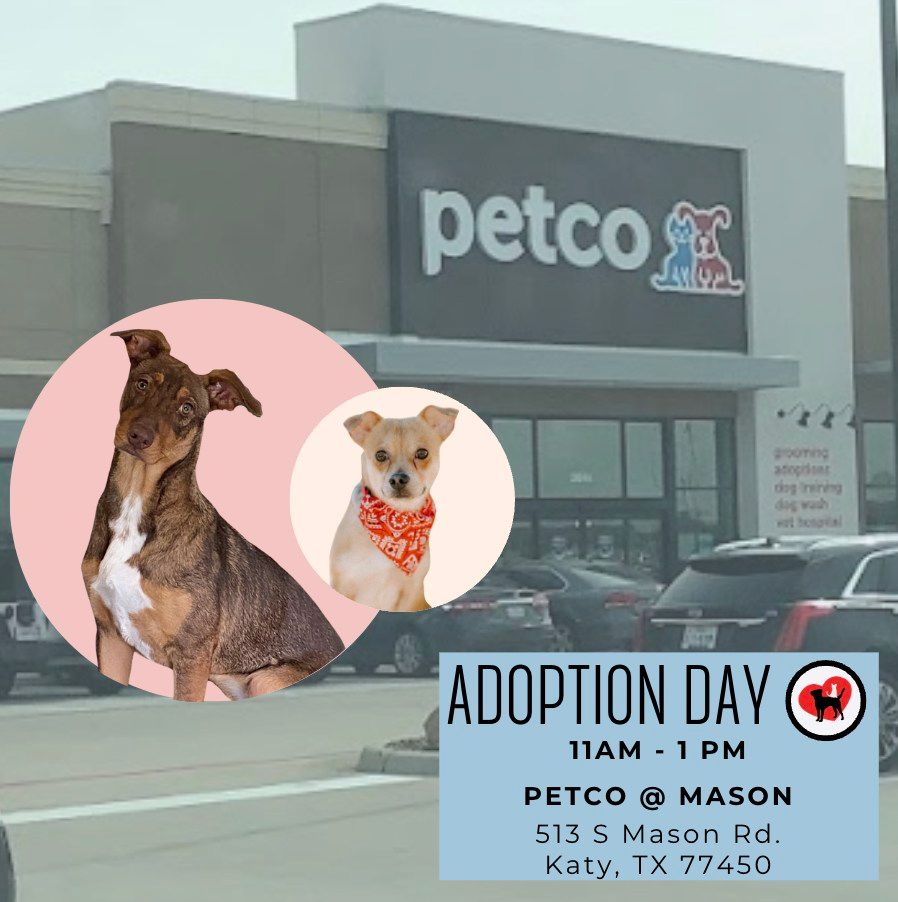 Adoption Day at Petco