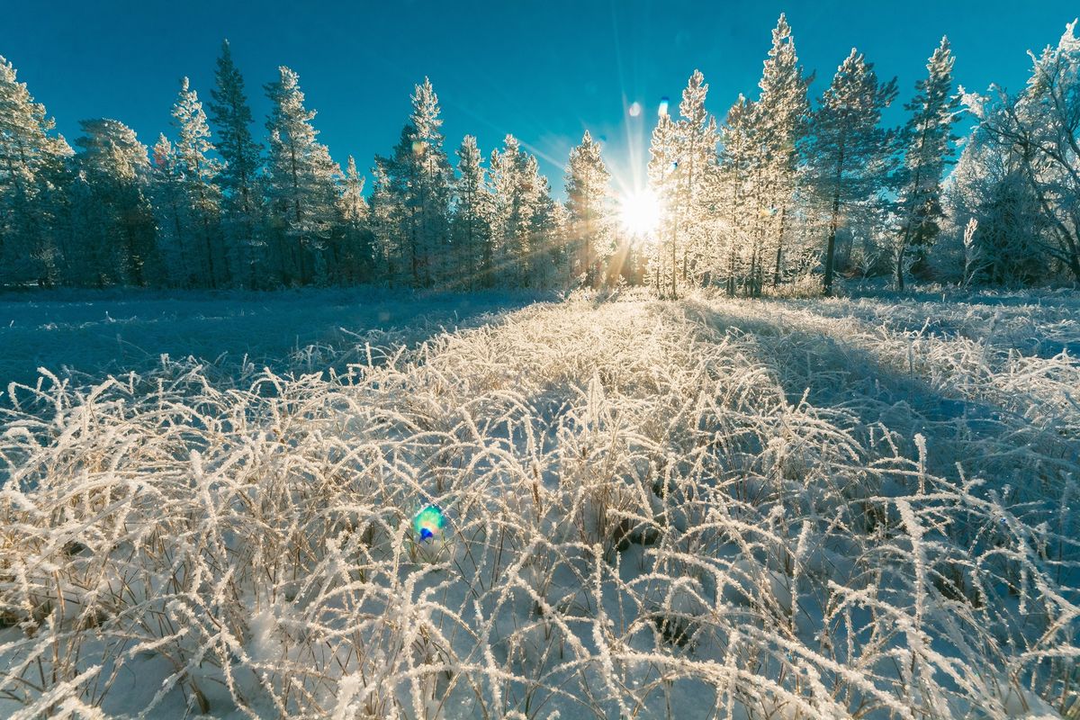 Winter Solstice Workshop: Honoring the Return of the Light with Heather Lindemann & Tracey Lanham