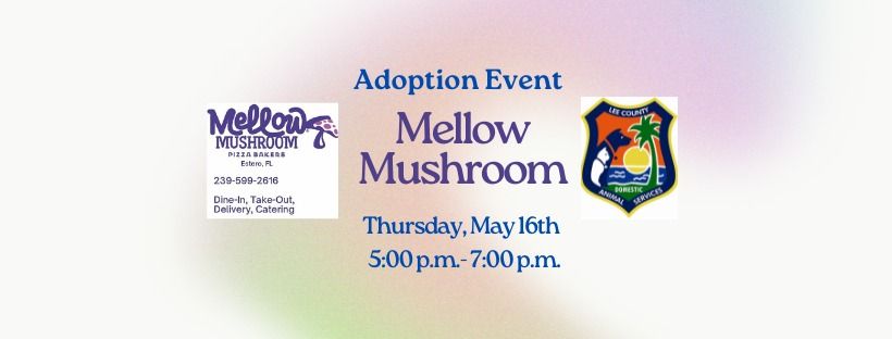 Mellow Mushroom Adoption Event