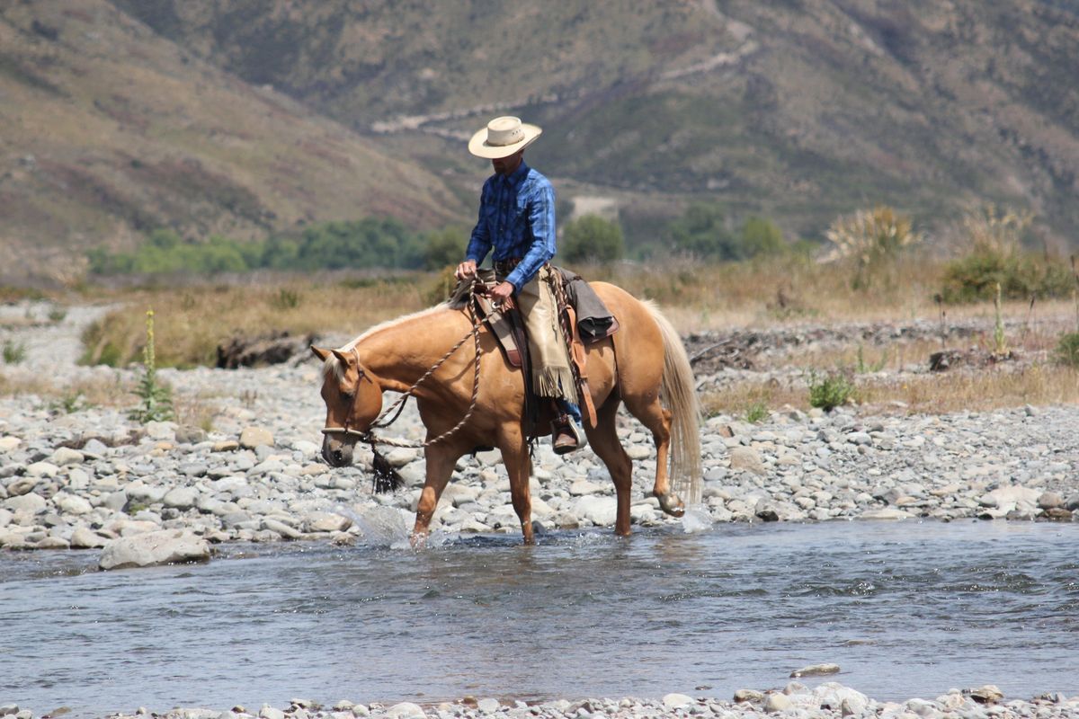 Wanaka, NZ On The Trail Horsemanship Clinic