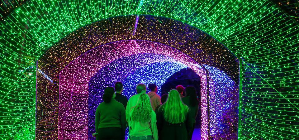 Winter WonderLights State Botanical Garden