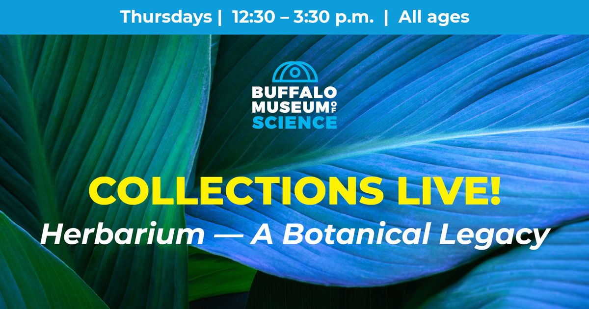 Collections Live: Herbarium - A Botanical Legacy (All ages)