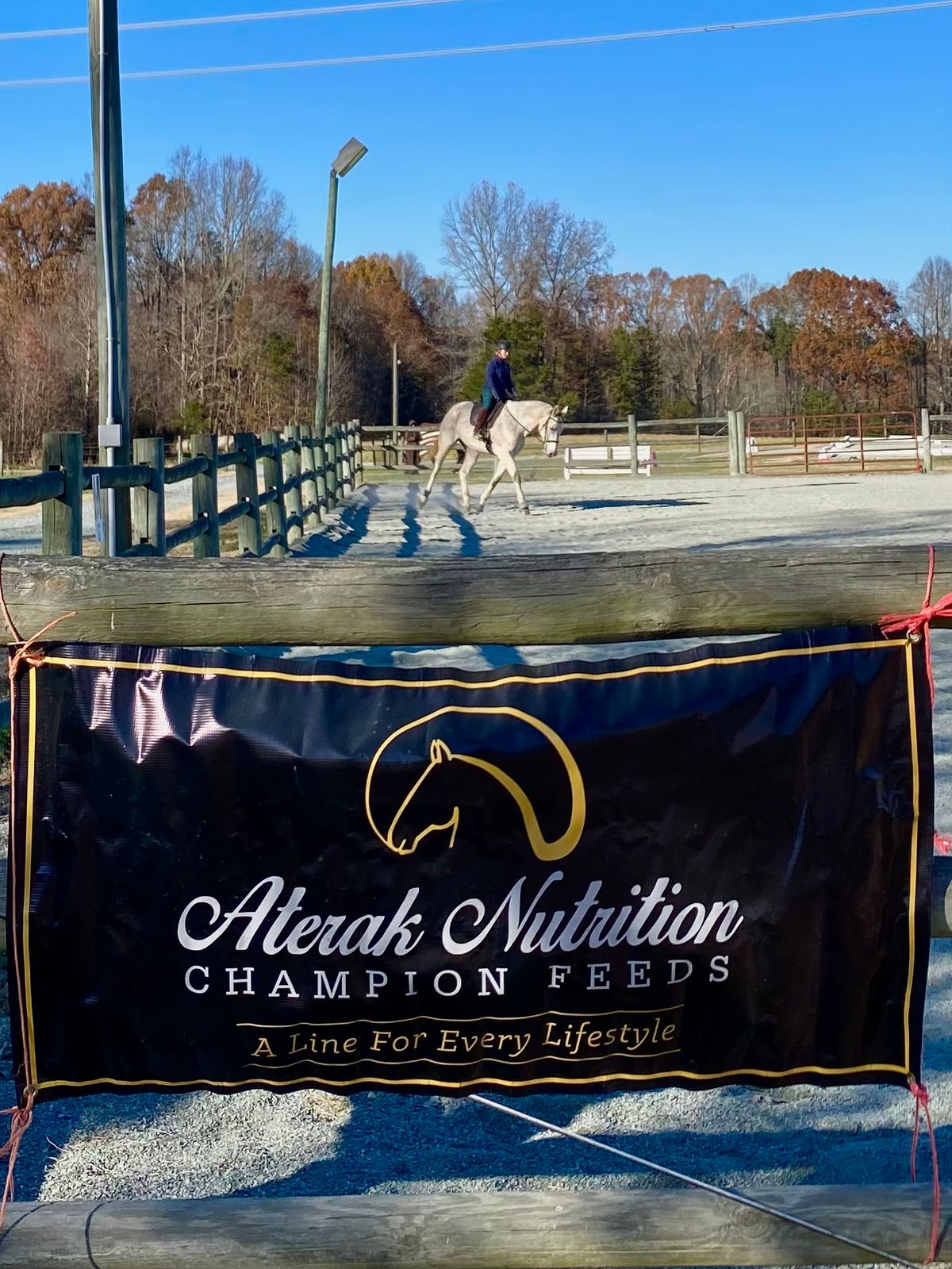 Richard Williams Dressage Clinic