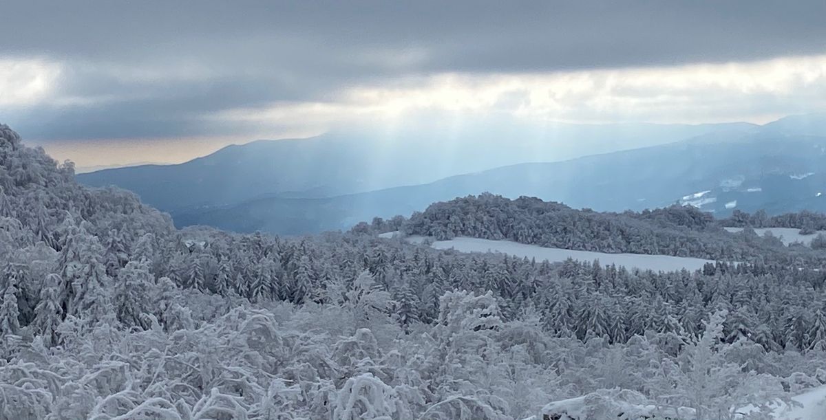 Trekking al Fumaiolo con merenda