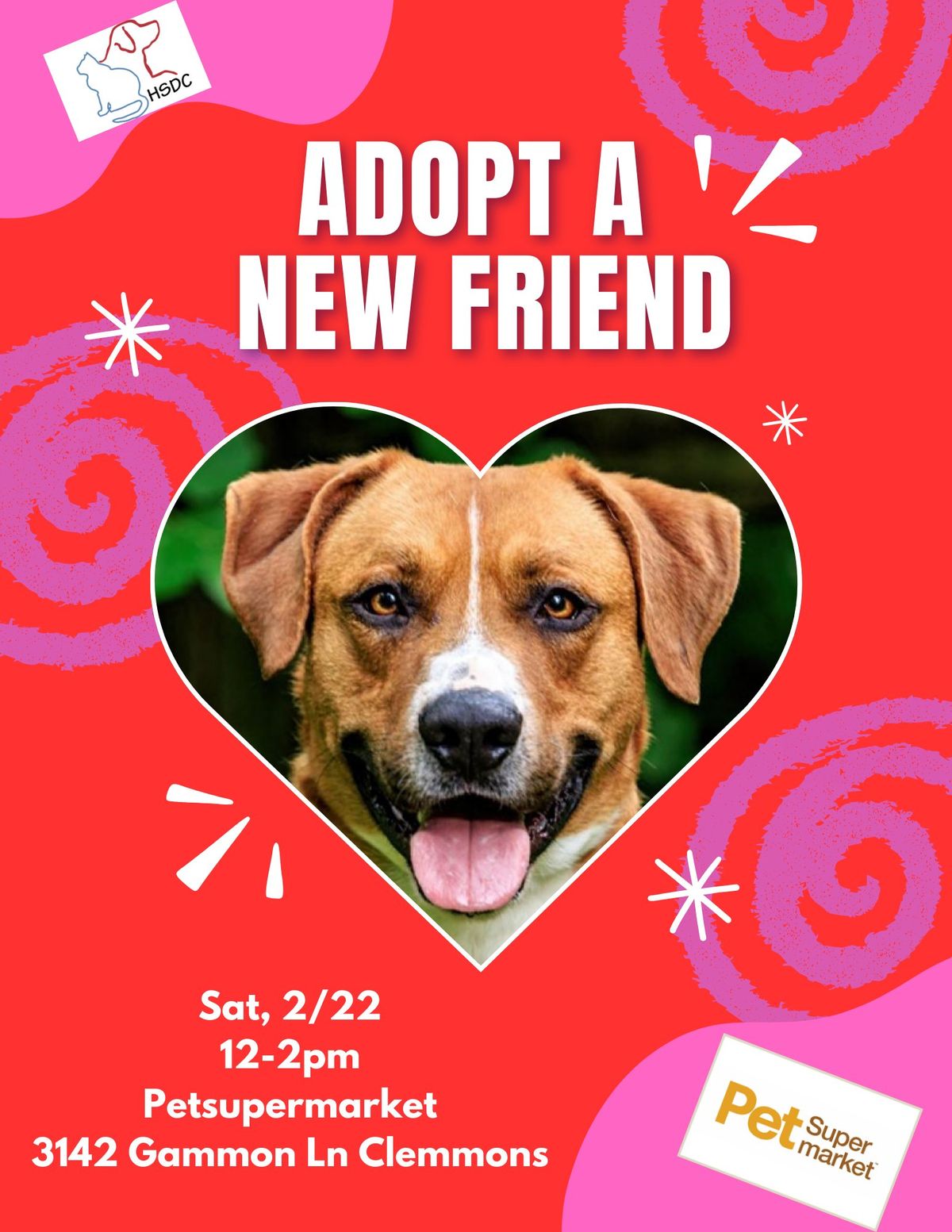 HSDC Adoption Event