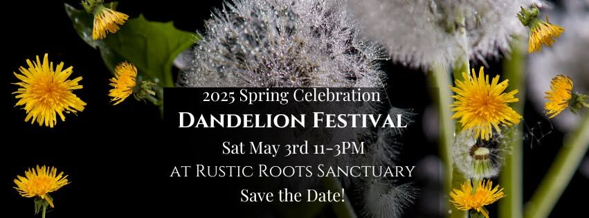 Spring Celebration\/ Dandelion Festival