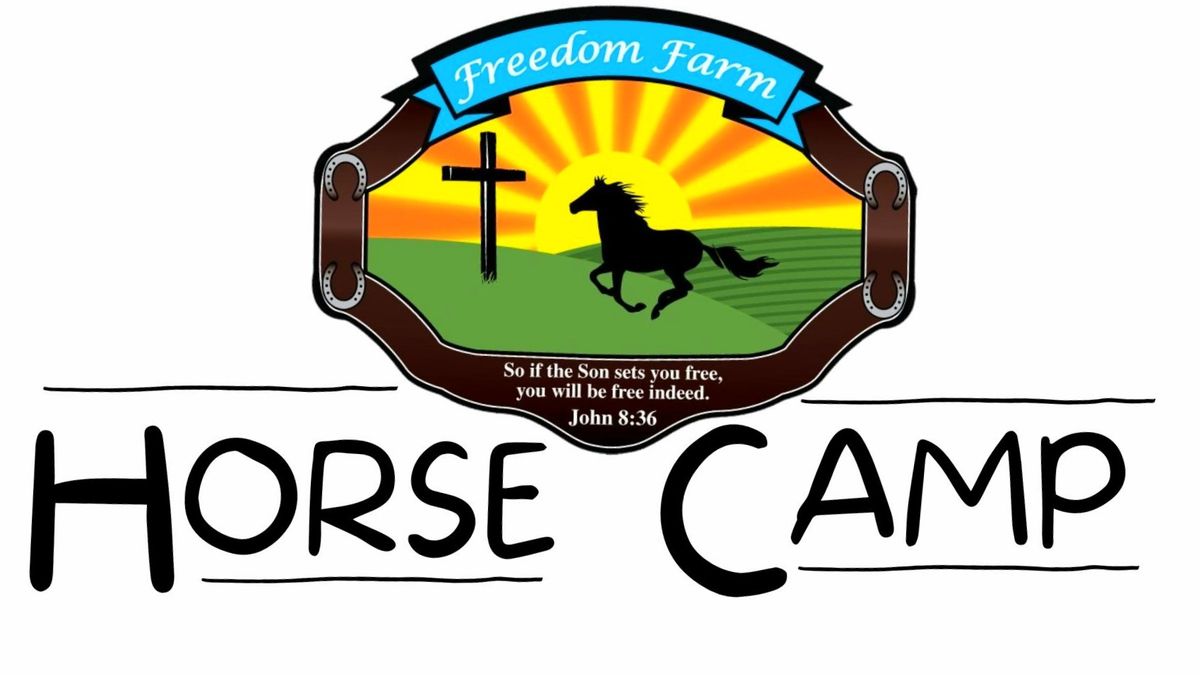 Buckaroo Horse Day Camp 