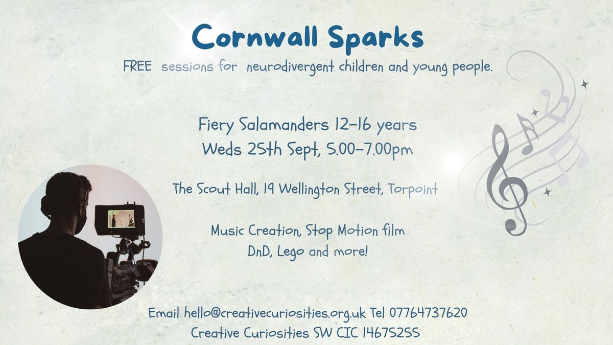 Cornwall Fiery Salamanders Torpoint 11 plus years