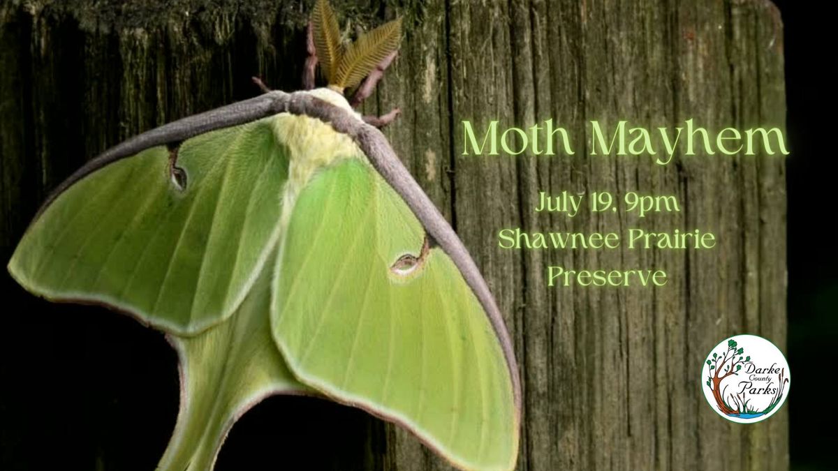 Moth Mayhem