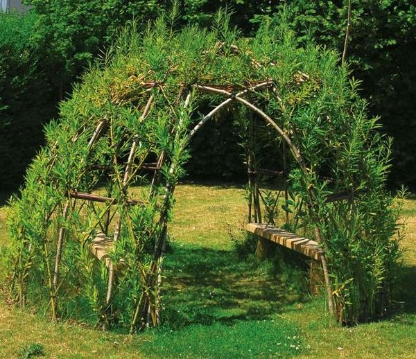 Living Willow Workshop