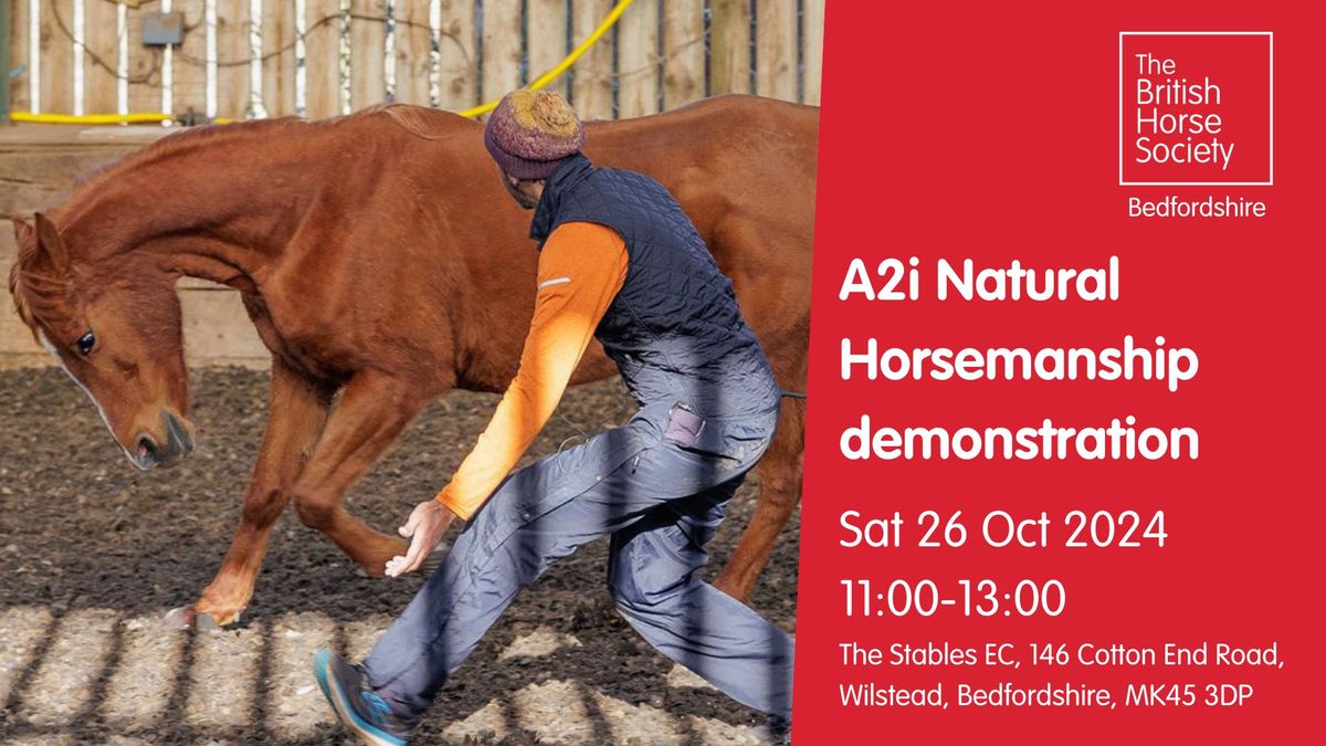 Natural Horsemanship demonstration