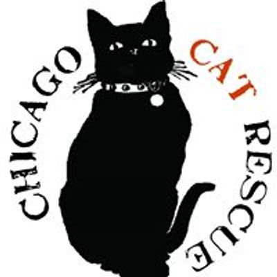 Chicago Cat Rescue