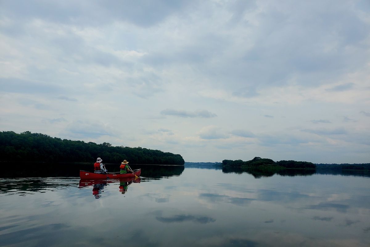 Canoe\/Kayak Birding Paddle 