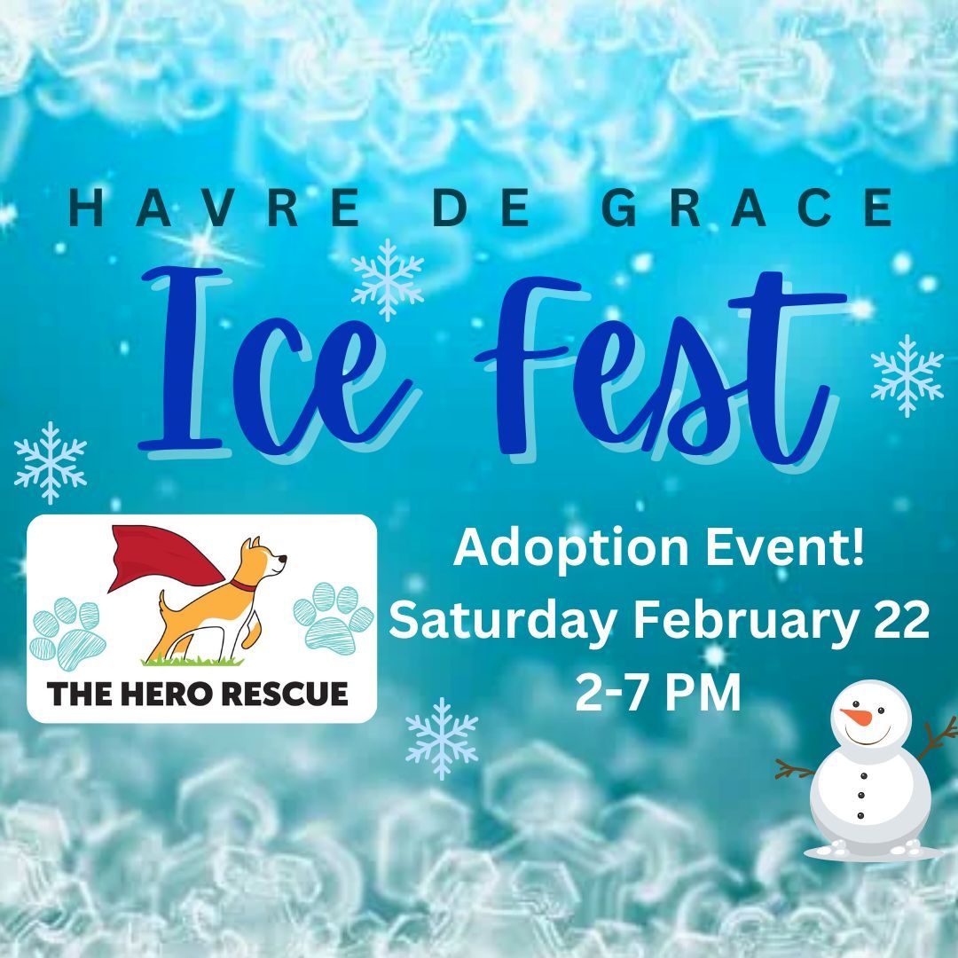 Adoption Event at Ice Fest