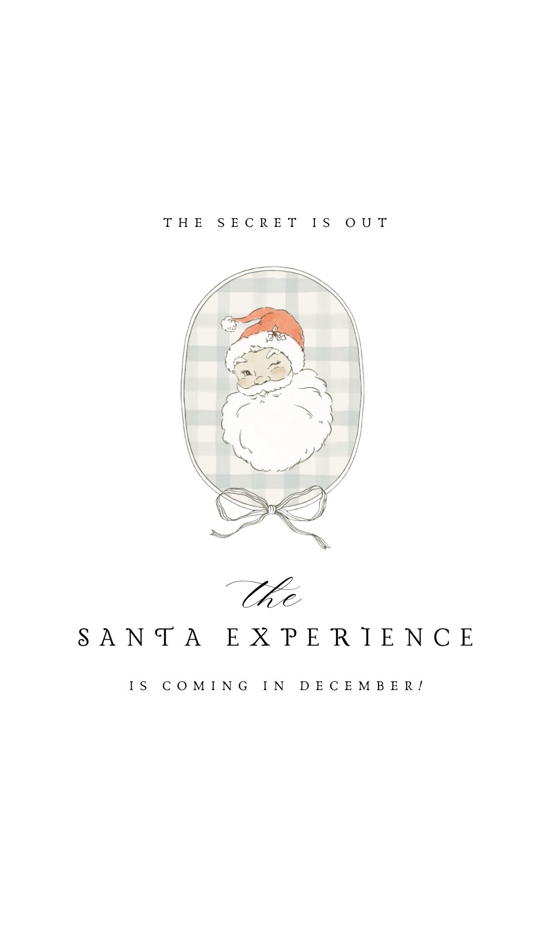 The Santa Experience!