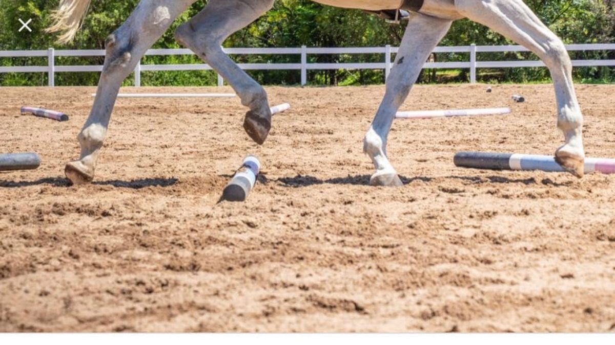 Pole Clinic at Canaan Farm