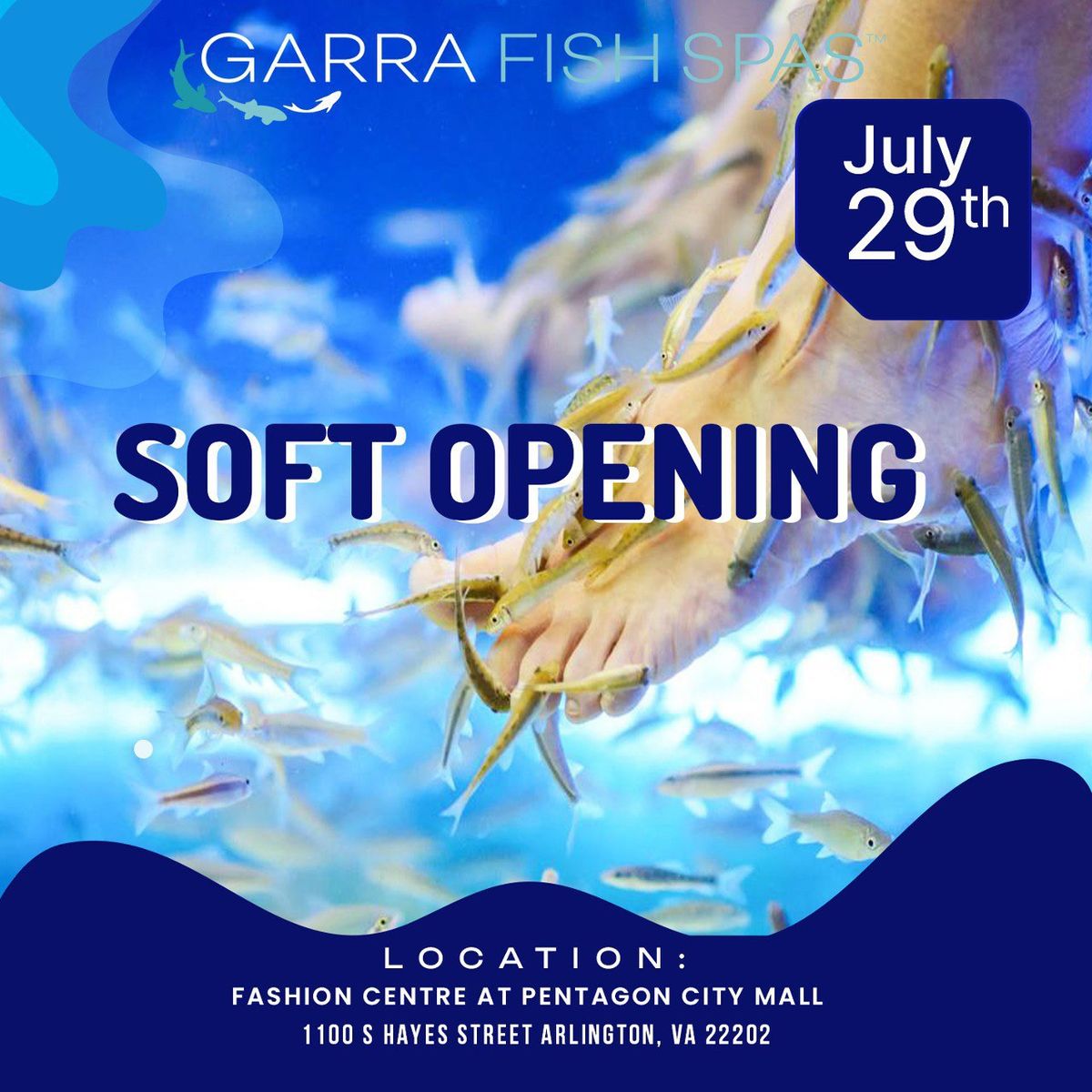 Garra Fish Spas Soft Opening! 