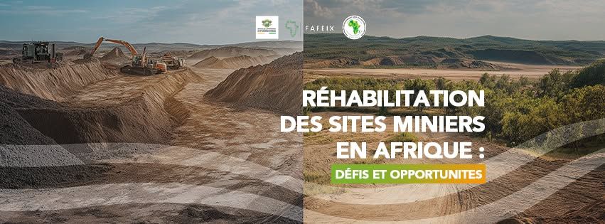 Forum Africain sur l'Environnement dans les Industries Extractives