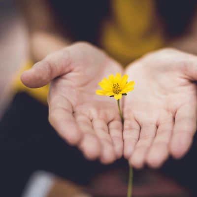 Reiki with Randee and Deborah