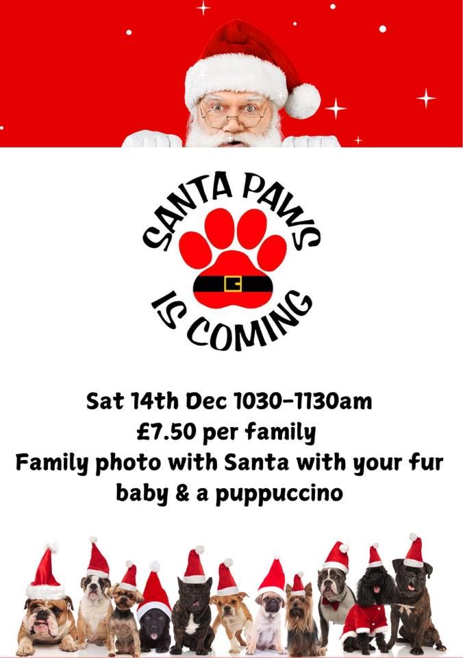 Santa Paws \ud83c\udf85\ud83c\udffc\ud83d\udc3e