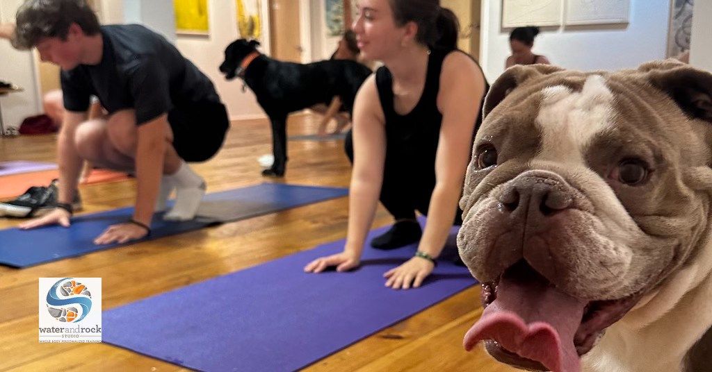 Yoga with Rescue Dogs - South Boston, MA!