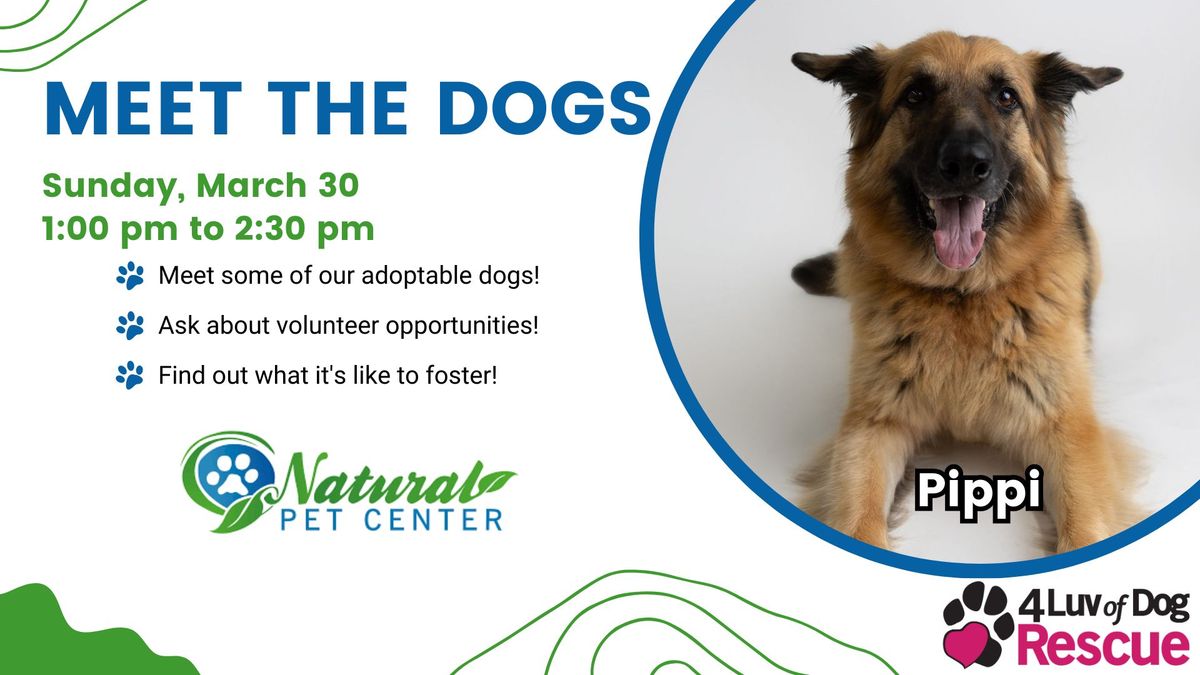 Meet the Dogs at Natural Pet Center 