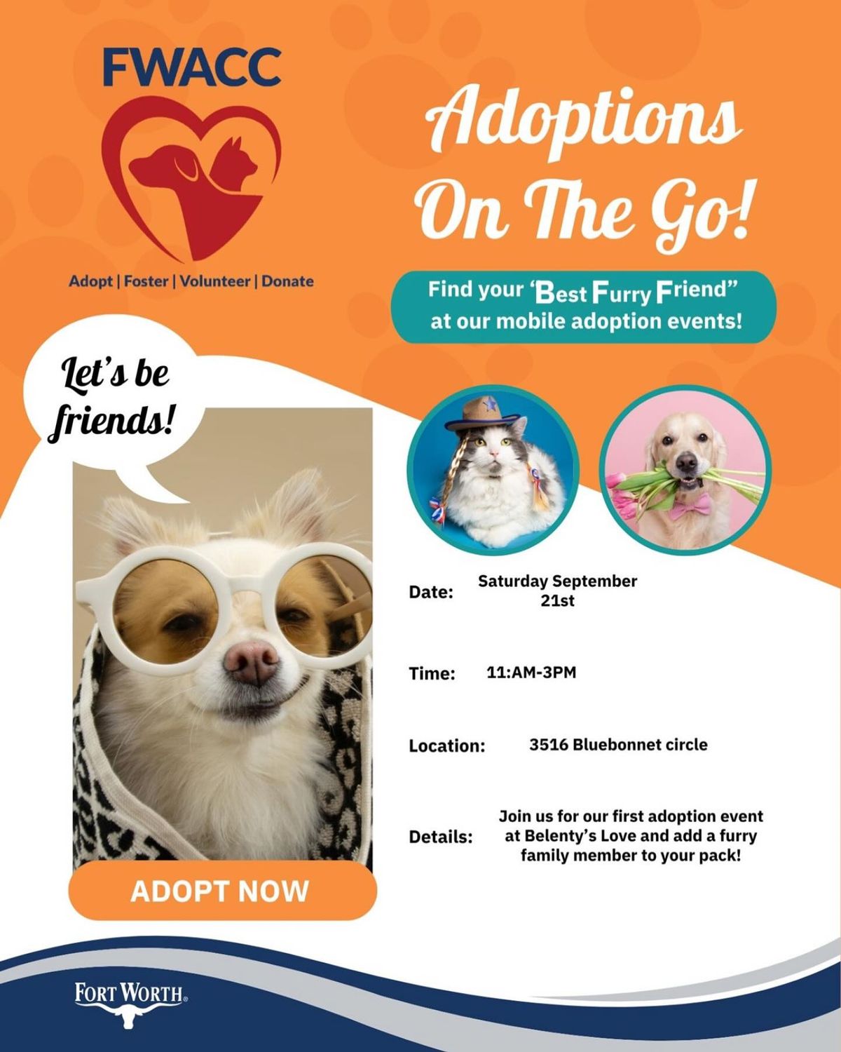 Belentys Love Adoption Event 