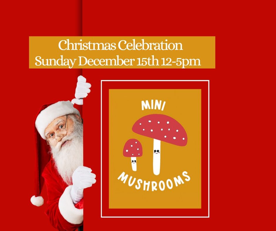 Christmas at Mini Mushrooms