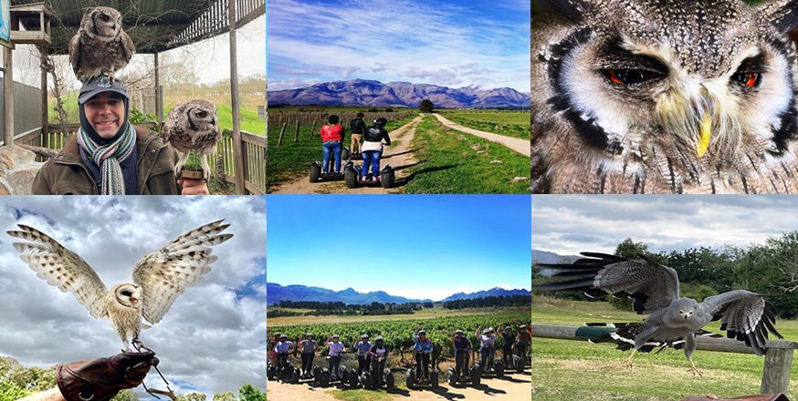 7 x Spots Left \u2013 Full Day Exp - Segway Vineyard Tour & Interactive Eagle Encounters at Spier