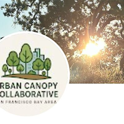 Urban Canopy Collective