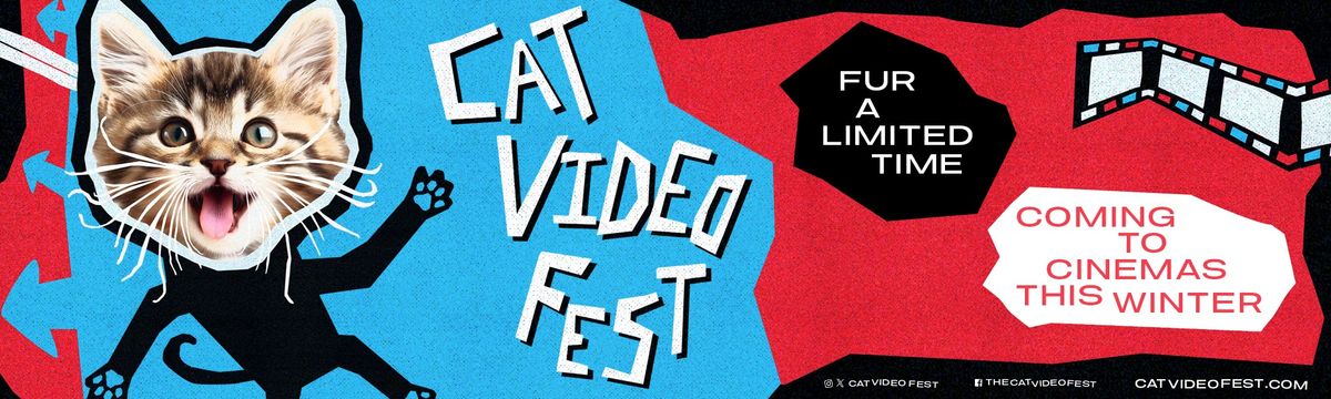 CatVideoFest