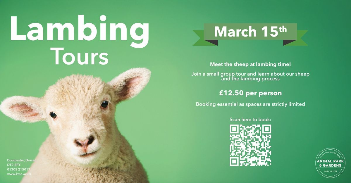 Lambing Tours