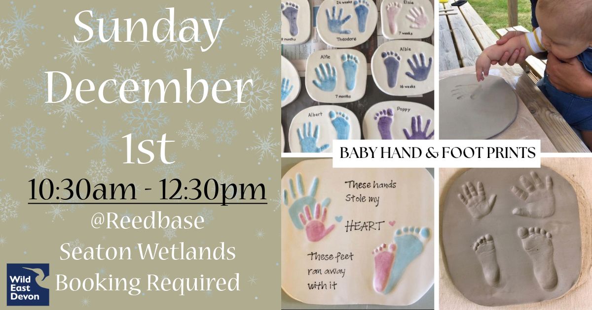 Baby & Toddler Hand & Foot Imprints