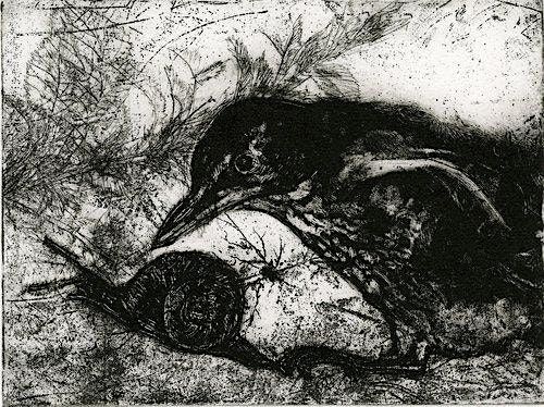 Drypoint & Monotype Workshop with Fiona Fouhy