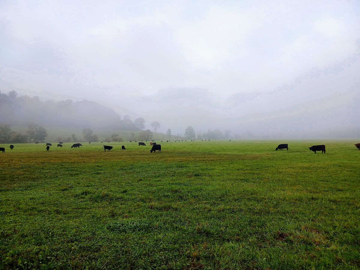 ECGA Pasture Walk 