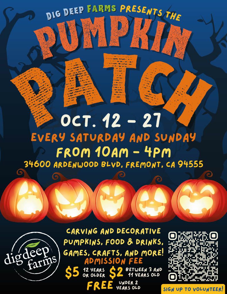 DIG DEEP FARMS PUMPKIN PATCH