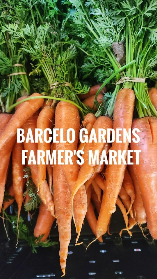 Farmer's Market by Barcelo Gardens (9th Ward Garden Location)