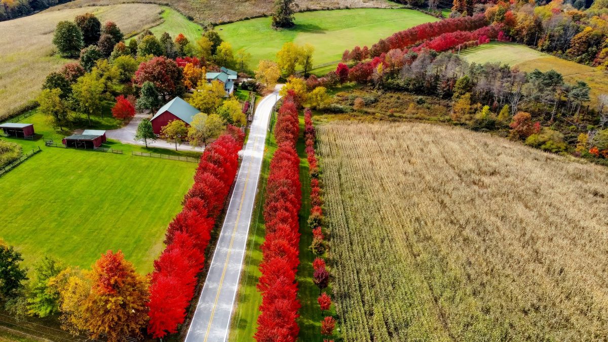 Fall Foliage Photography Workshop and Tour of the Laurel Highlands