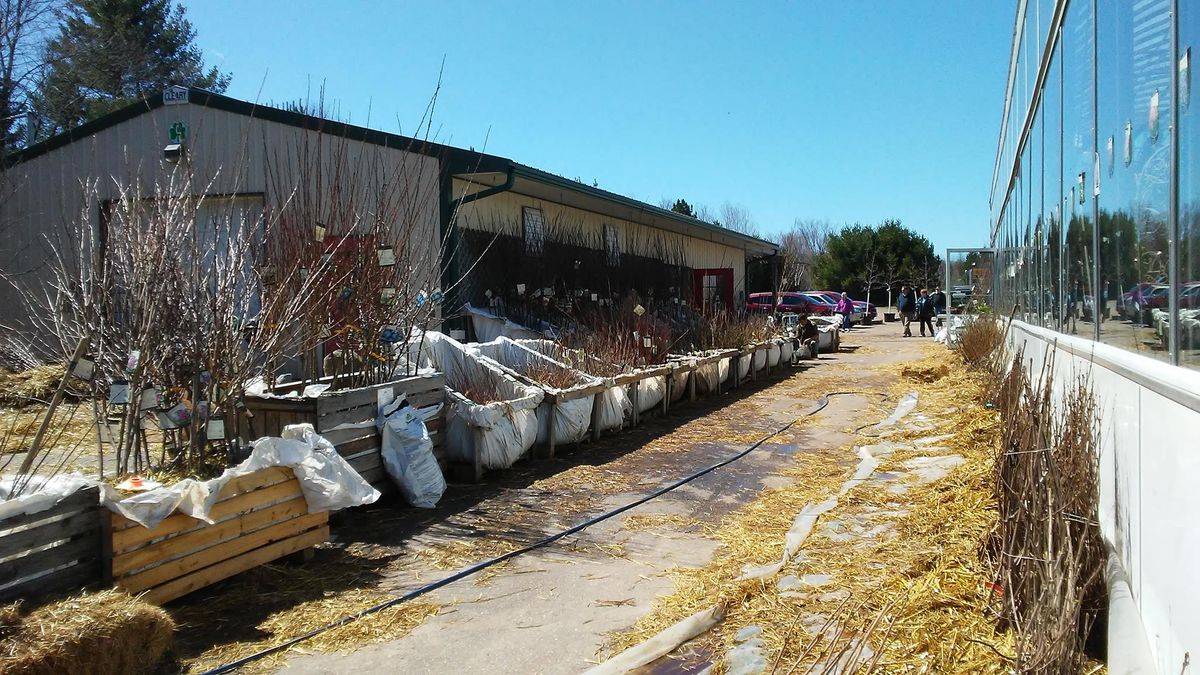 Hanson's Garden Village Annual Bare Root Sale