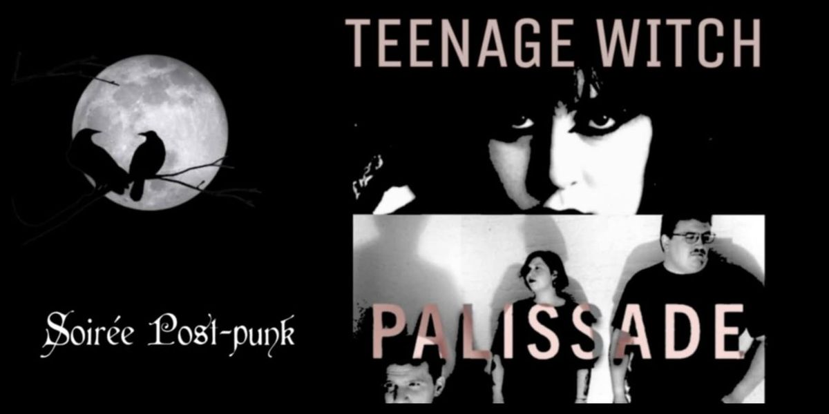 Soir\u00e9e Post-Punk : Teenage Witch & Palissade