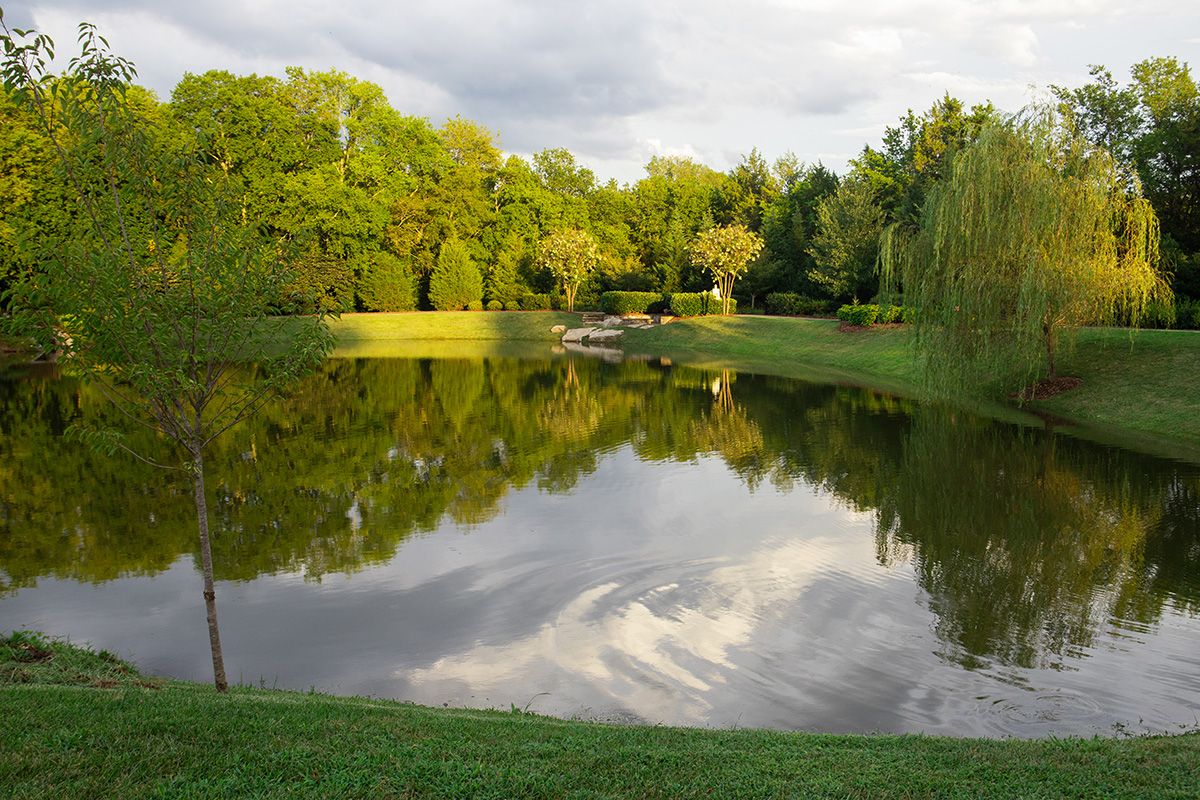 Pond at Vic Theatre