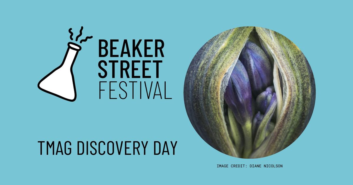 TMAG Discovery Day - FREE - Beaker Street Festival