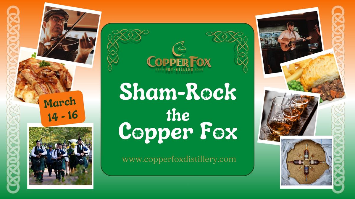 Sham-Rock the Copper Fox