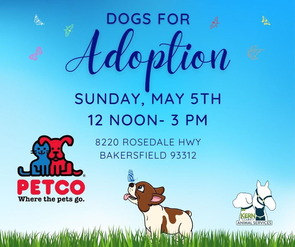 Petco Dog Adoptions
