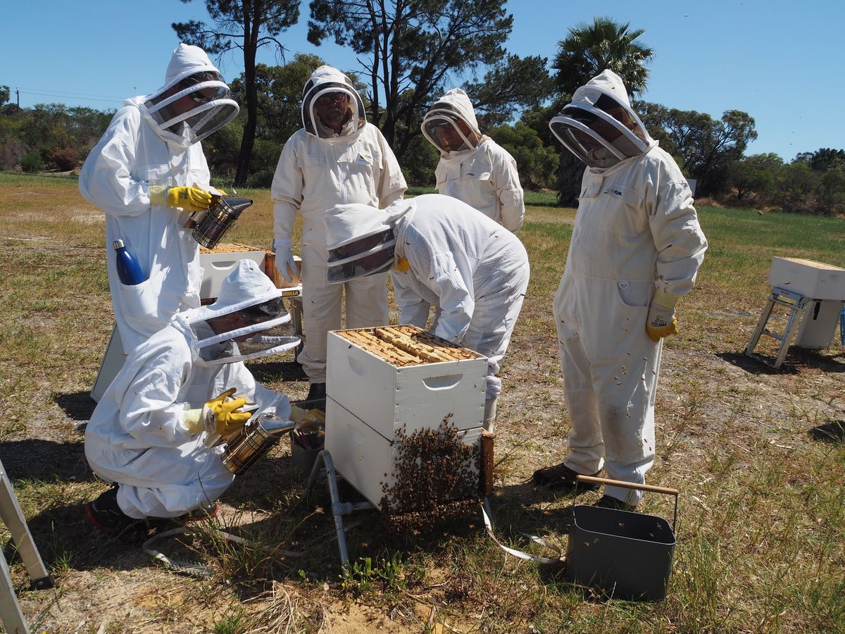 Introduction to Responsible Beekeeping (101)