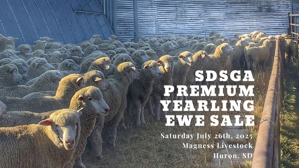 SDSGA Premium Yearling Ewe Sale