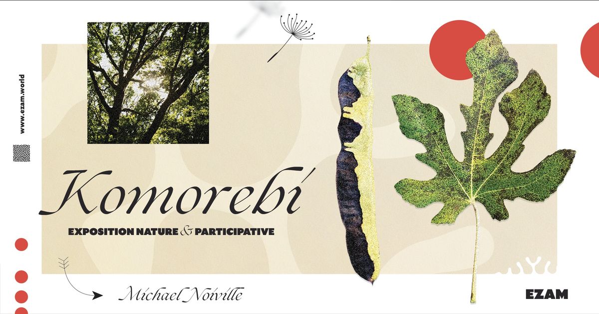 Komorebi - Une exposition nature & participative.