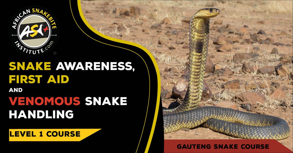 Snake Awareness First aid for Snakebite, Venomous Snake Handling