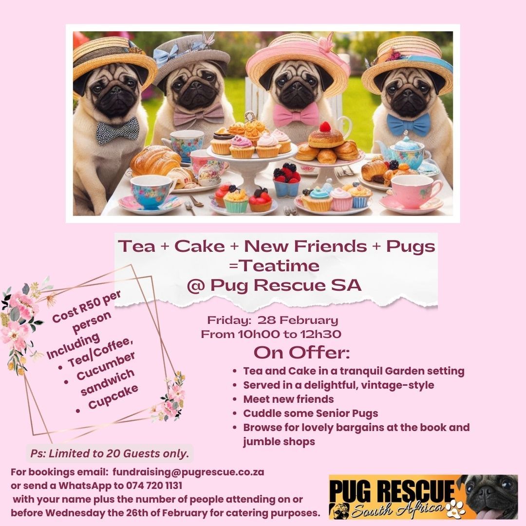 Tea + Cake + New Friends + Pugs = Teatime @ Pug Rescue SA