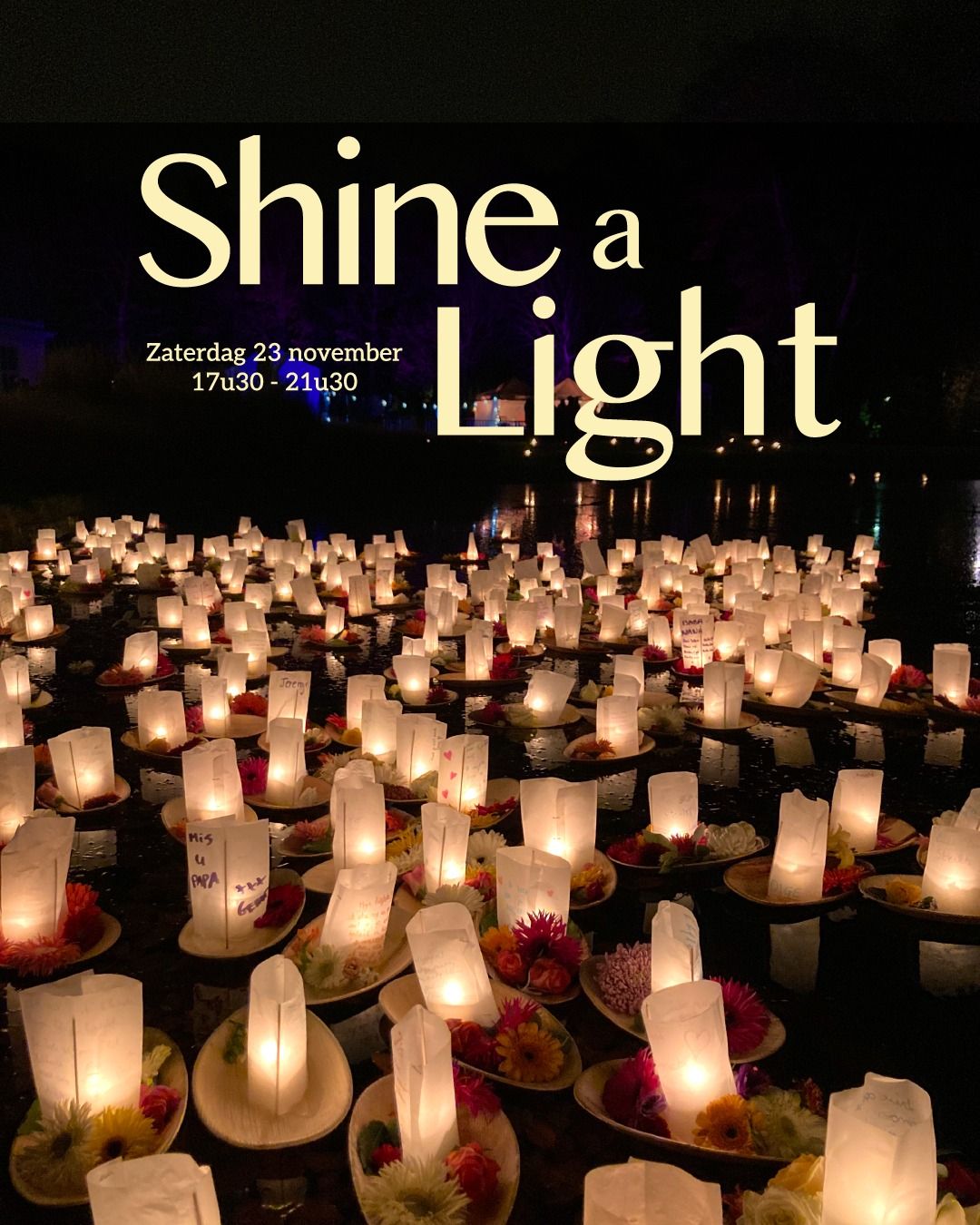 Shine a Light - 5e editie